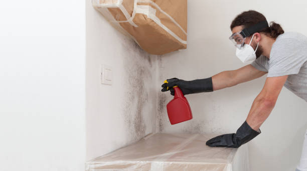 Professional Attic Mold Remediation technician working in Grass Lake, MI