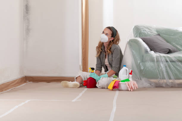 Reliable Attic Mold Remediation contractor in Grass Lake, MI by 24 Hour Mold Removal